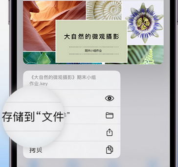 荷塘apple维修中心分享iPhone文件应用中存储和找到下载文件