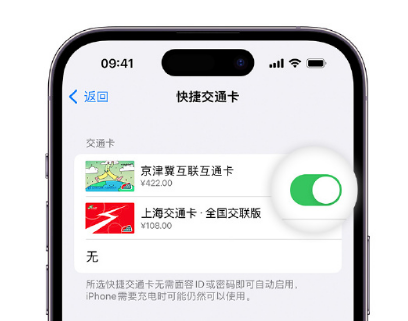 荷塘apple维修点分享iPhone上更换Apple Pay快捷交通卡手绘卡面 