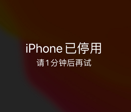 荷塘苹果手机维修分享:iPhone 显示“不可用”或“已停用”怎么办？还能保留数据吗？ 