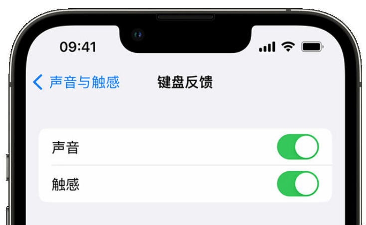 荷塘苹果手机维修分享iPhone 14触感键盘使用方法 