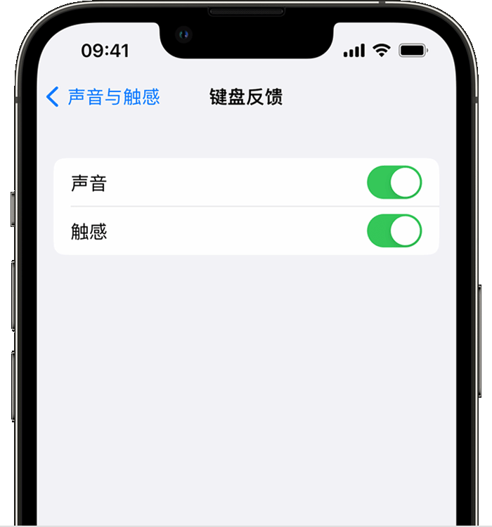 荷塘苹果14维修店分享如何在 iPhone 14 机型中使用触感键盘 