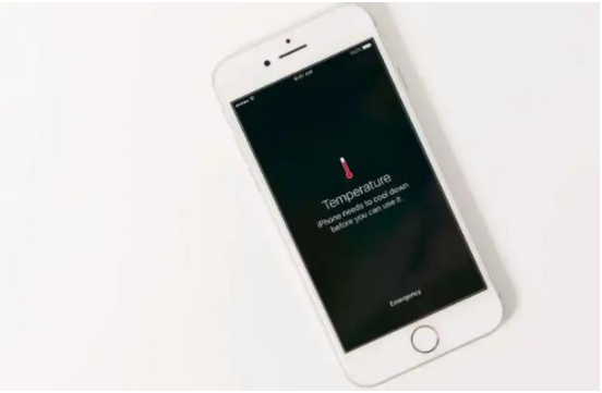 荷塘苹果手机维修分享iPhone 手机发热如何快速降温 