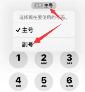 荷塘苹果14维修店分享iPhone 14 Pro Max使用副卡打电话的方法 