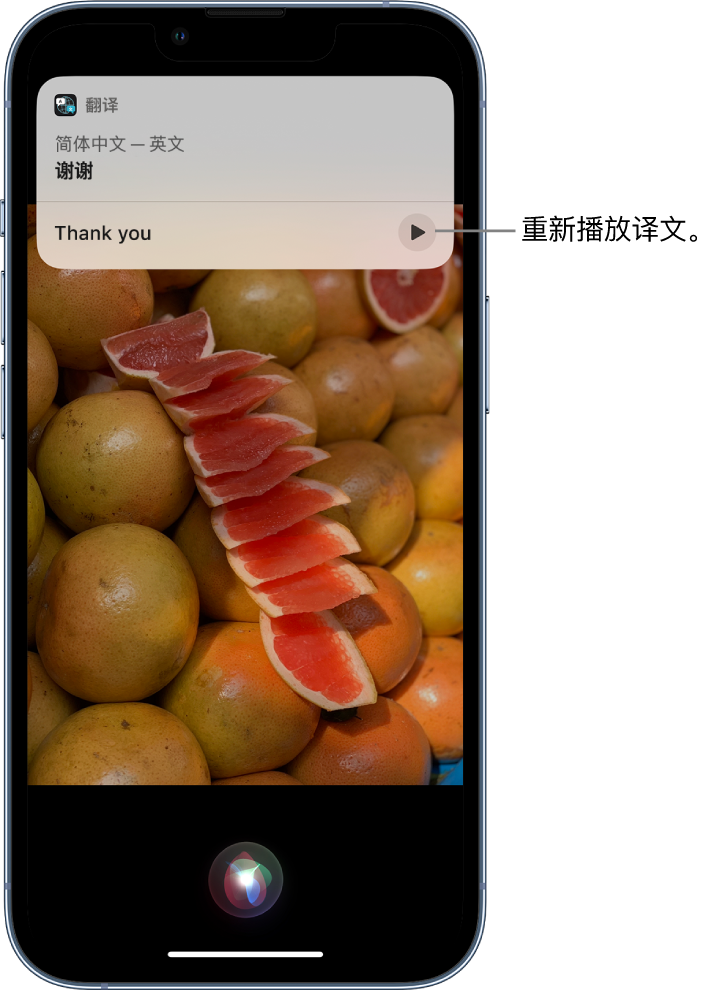 荷塘苹果14维修分享 iPhone 14 机型中使用 Siri：了解 Siri 能帮你做什么 