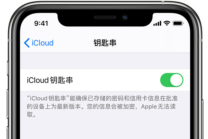 荷塘苹果手机维修分享在 iPhone 上开启 iCloud 钥匙串之后会储存哪些信息 